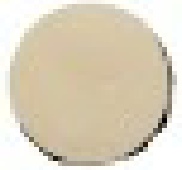 Earthstone PF570 White Stoneware Grogged