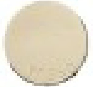Earthstone PF560 White Stoneware